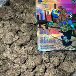 Mark Jonas Profile Picture