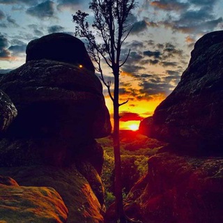 Telegram: Join Group Chat