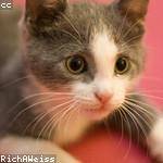 Wayne Kuhlman Profile Picture