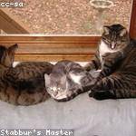 Muriel Will Profile Picture