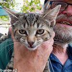 Cheyanne Greenfelder Profile Picture