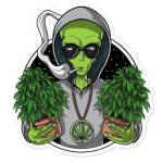 Waiyan Phyo Profile Picture