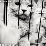 Renee Hirthe Profile Picture