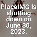 Amiya Toy Profile Picture