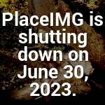 Kennedi Osinski Profile Picture