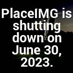 Janie Trantow Profile Picture