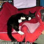 Wilfred Strosin Profile Picture