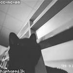 Brant Marquardt Profile Picture