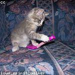 Lyla Quigley Profile Picture