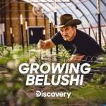 Jim Belushi Cannabis armers Profile Picture