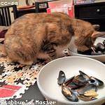 Gerson Reynolds Profile Picture