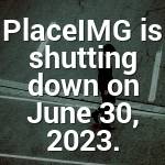 Dortha Schumm Profile Picture