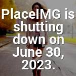 Rocio Denesik Profile Picture