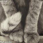 Chelsea Bayer Profile Picture