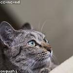 Duncan Pollich Profile Picture