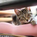 Katrine Mann Profile Picture