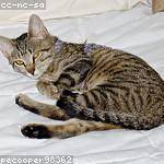 Vida Torp Profile Picture