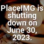 Baby Orn Profile Picture