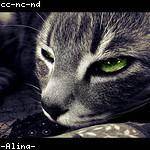 Cleta Nitzsche Profile Picture