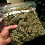 Washington Weed profile picture