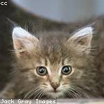 Abbie Hayes Profile Picture