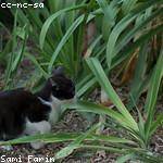 Domingo Reichel Profile Picture