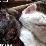 Germaine Roberts Profile Picture