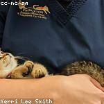 Vivian Goyette Profile Picture