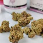 Mark Mary profile picture