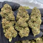 Nadine Gomez Profile Picture