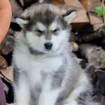 John Make Profile Picture