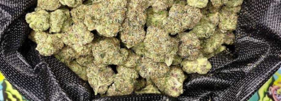 Bryan Memphis Cover Image