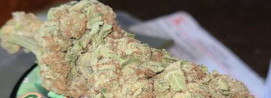 Ken Parker Cover Image