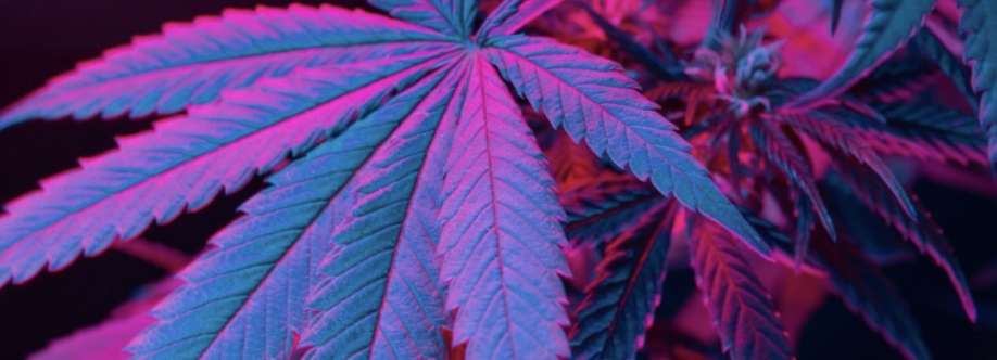 Psychedelic Drugstore Cover Image