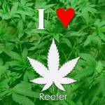 Alan Damiane profile picture