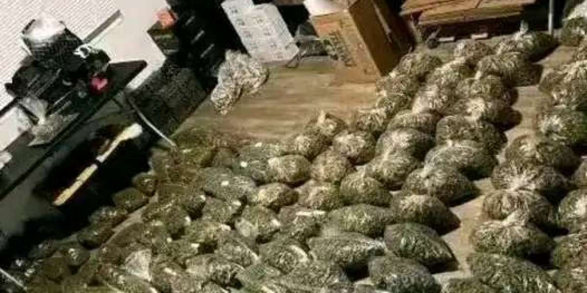 Real kush trade