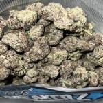 SCHERFF Cannabisworld Profile Picture