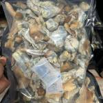 Dealand John Profile Picture