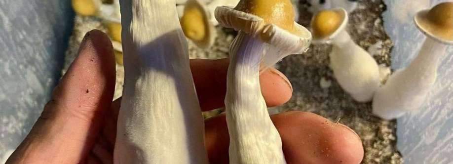 jack mason Cover Image