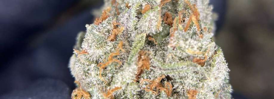 Lord Band Cover Image