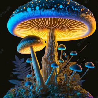 Telegram: Contact @weareoutherefor420