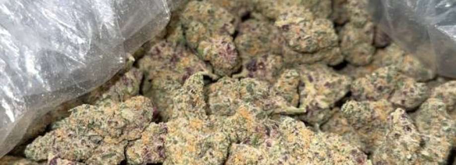 Justin Clark Cover Image