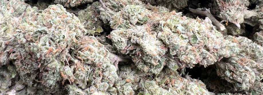 James Boh Cover Image