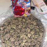 David Mike Profile Picture