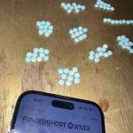 Josh Scott Profile Picture