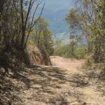 Eduardo rojas Profile Picture