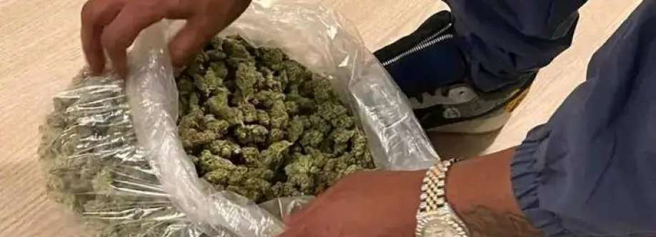 Kelsyn Halligan Cover Image