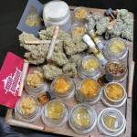 Kenzo Stoneboy Profile Picture