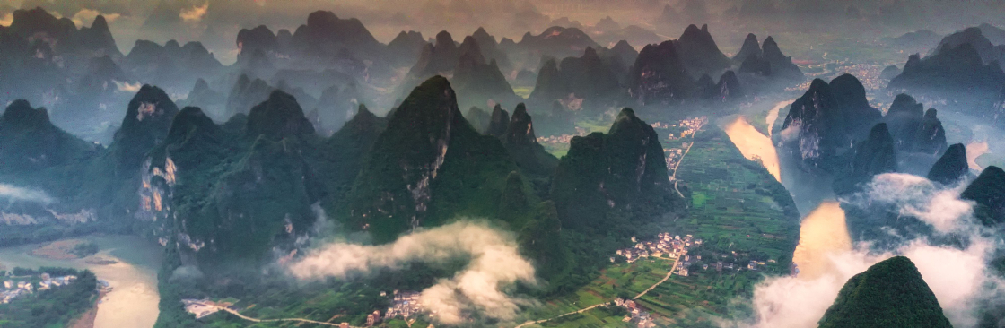 Laura Dreyfuss Cover Image