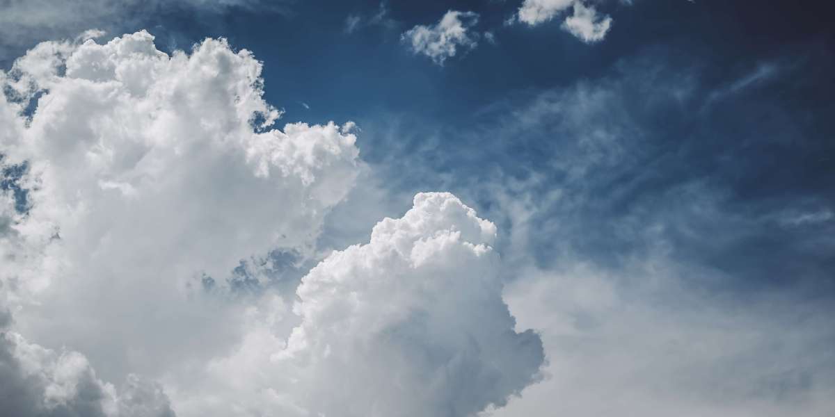 The top 5 plates you can safely bake in the oven